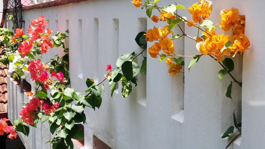 Desitha Family House Hotel Mirissa Ngoại thất bức ảnh